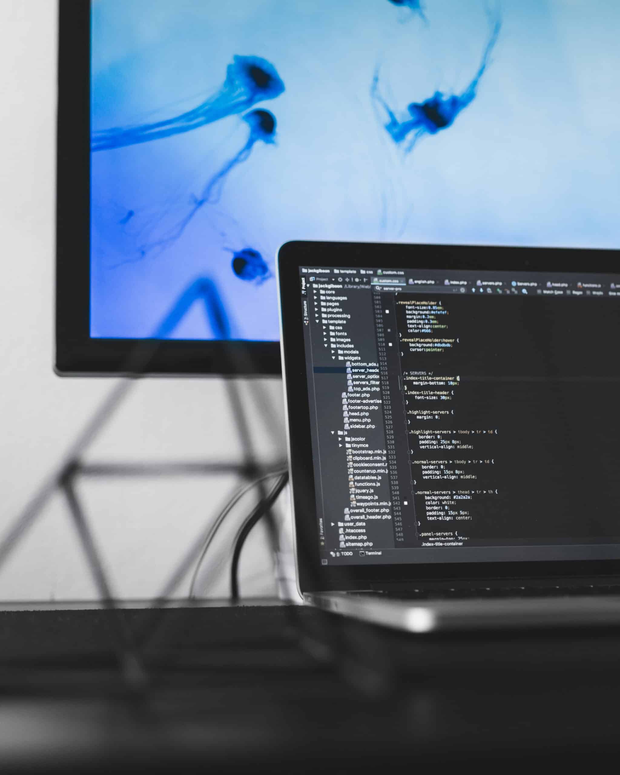 01bad0f46a9a2739d72a8a58481e9c74